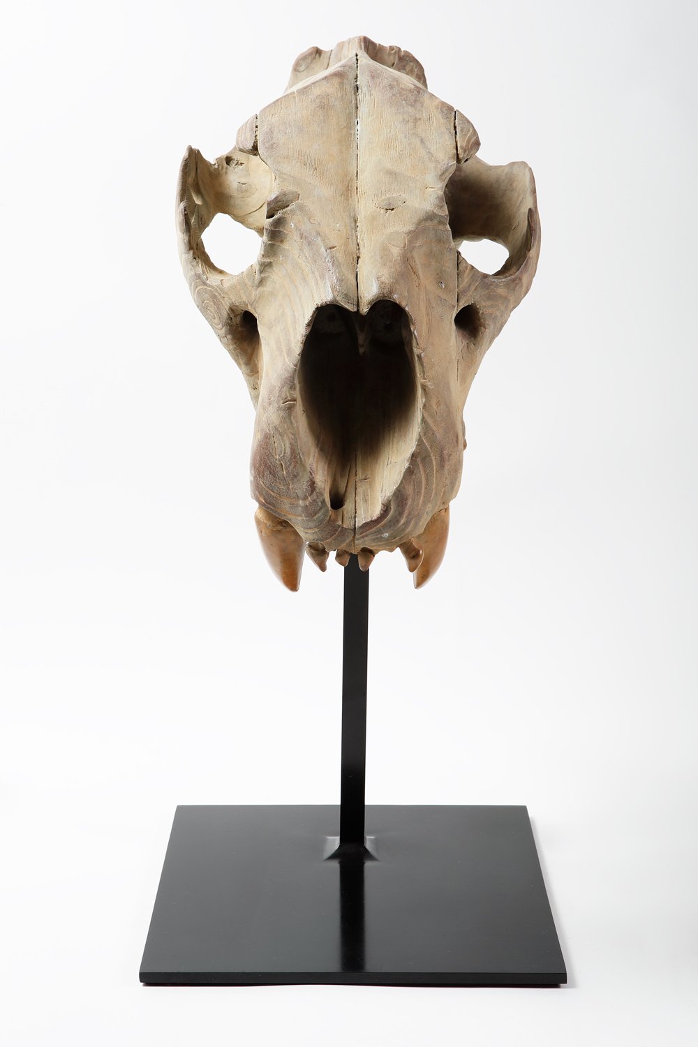 Quentin Garel - Lion Skull